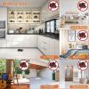 Multiple Location Reusable Rat Rodent Killer Mouse Traps